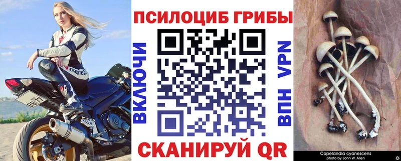 Псилоцибиновые грибы Magic Shrooms Купить закладки Дятьково